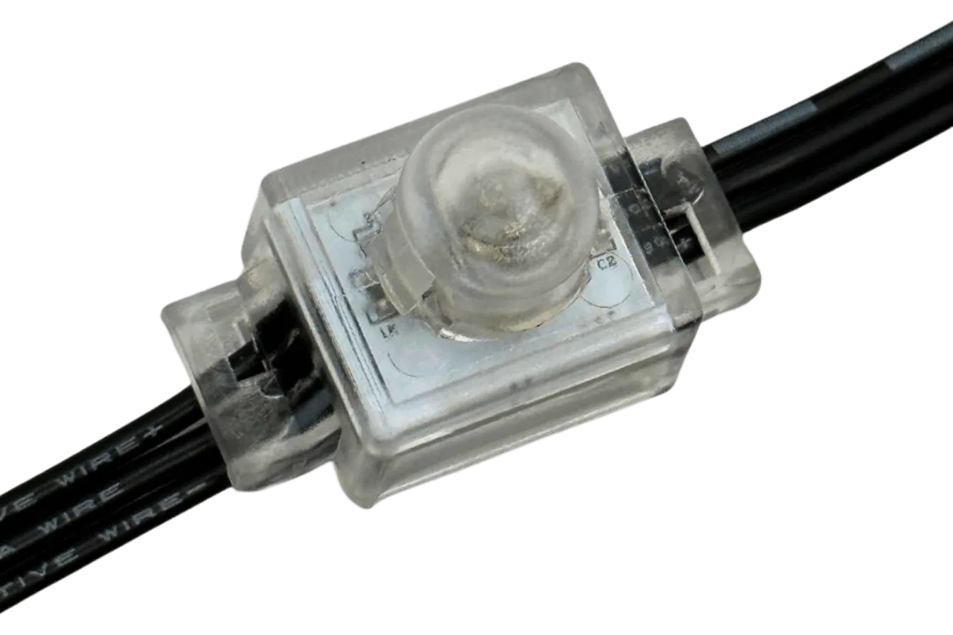 Clear plastic LED pixel light module with two black wires connected on either side, encasing a visible circuit board and electronic components. The background is transparent.